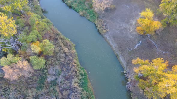 A drone down shot of the river ecosystem along the Platte river in fall.  Colorado alt