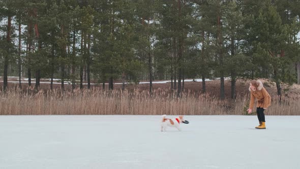 A girl in a coat and plays in the winter on the ice of the lake with a dog and a jumping black ring alt