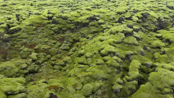 Flying Over Eldhraun Lava Field in Iceland, Eerial View alt