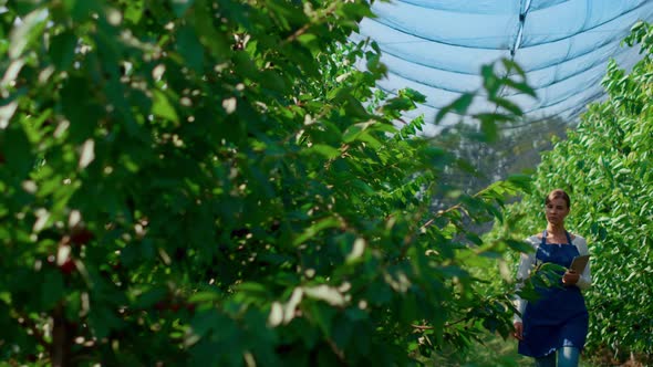 Agribusiness Owner Checking Quality of Plants Growth with Device in Plantation alt