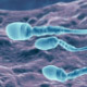 Sperm 6 - VideoHive Item for Sale