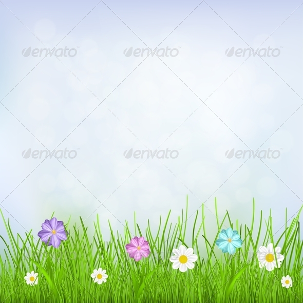 Background with Sky, Grass and Flowers - Flowers & Plants Nature