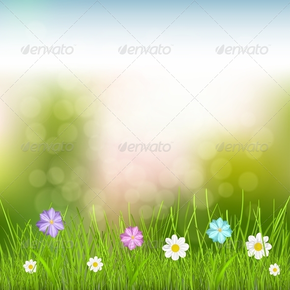 Background with Sky, Grass and Flowers - Flowers & Plants Nature