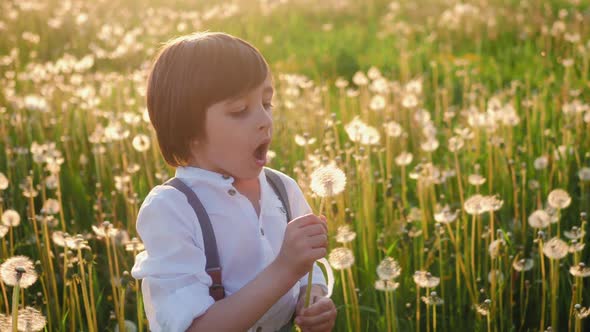 Child Boy 5 Years Old in a Hat Blows on a White Dandelion Ball on the Field During Sunset alt