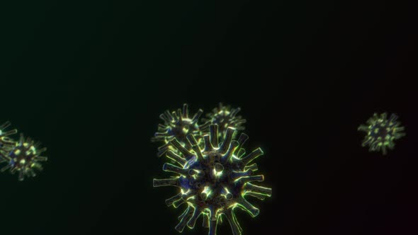 Realistic Coronavirus 2019-nCoV Loopable Fly