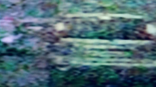 Image on a Screen Is Getting Transmitted with Glitches alt