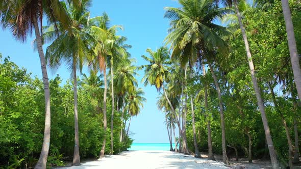 Aerial tourism of exotic shore beach time by shallow water with white sand background of a dayout ne alt