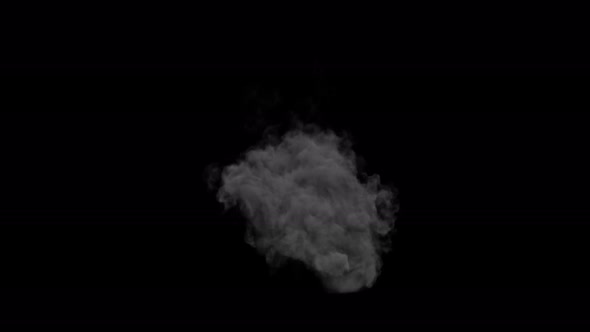 Smoke Loop 4K  alt