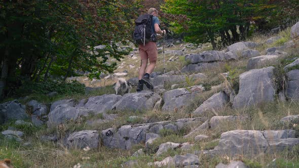 Man Tourist Hiker is Walking in Mounntains with Trekking Poles and His Dogs alt