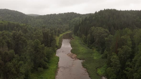 Top View of River Among Green Forest