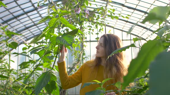 Woman examinating a plant inside of a greenhouse