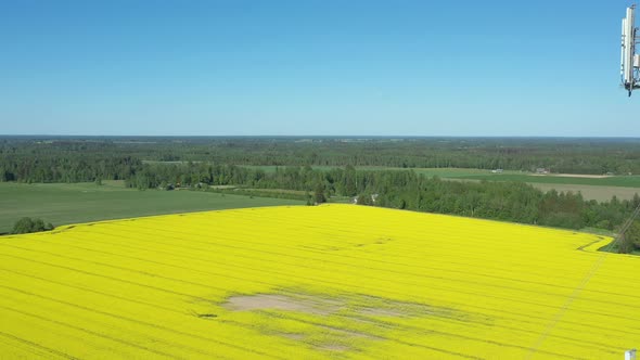 A Landscape View of the Yellow Plains in Estonia