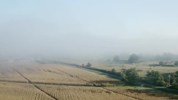 Speeding cars at very dangerous morning alt
