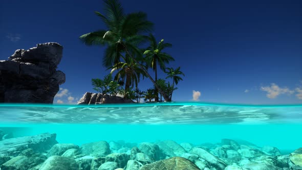 Split View Cross Section of Sea Water and Palm Trees on Island alt