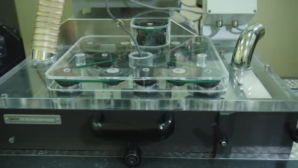 Automated Packing Machine Sort Pills Into Plastic Containers