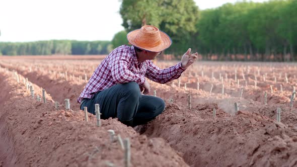 Asian farmer sitting and checking soil at farm alt