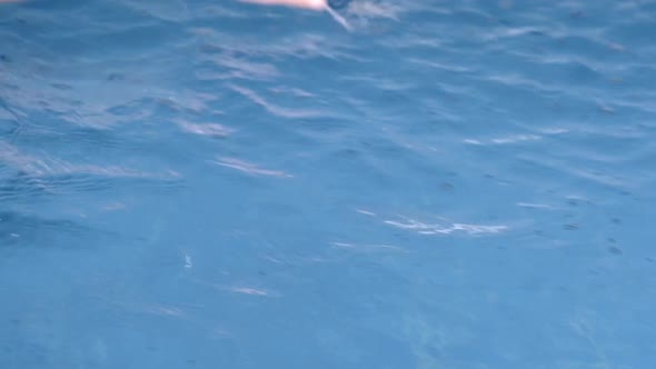 Strong sportsman swimming in pool with lanes during training alt