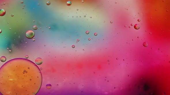Abstract Colorful Food Oil Drops Bubbles 75 alt
