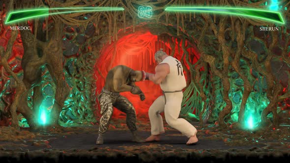 Fake Fighting Video Game alt