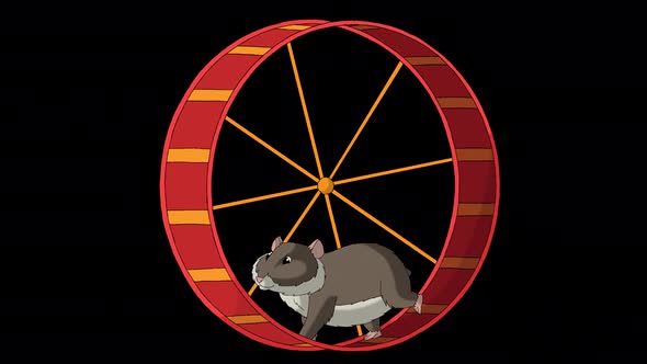 Brown hamster runs in a wheel alpha matte 4K alt