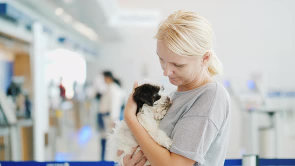 We Travel with the Pet. A Woman Holds a Woman in Her Arms, Stands in Line at the Airport Terminal alt