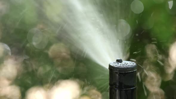 Automatic sprinkler watering garden