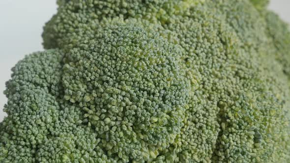 Healthy Brassica oleracea floret details 4K video alt