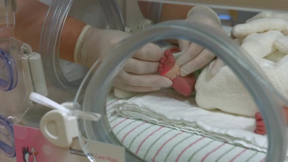 Newborn in the Incubator 2