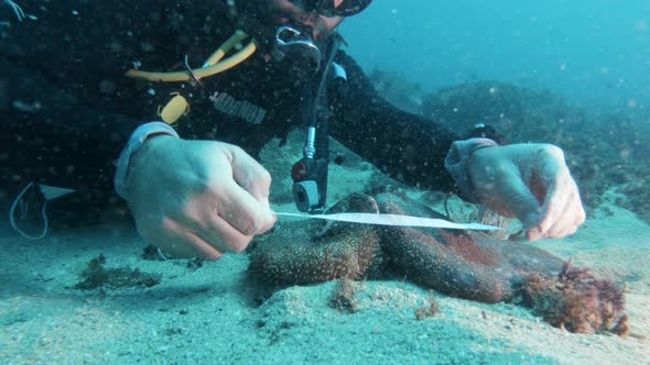 A scuba diver participating in a citizen science program collects information on marine life while u alt