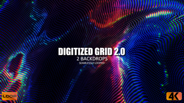 Digitized Grid 2.0