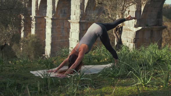 Dolphin pose performed by female yoga instructor within wilderness alt