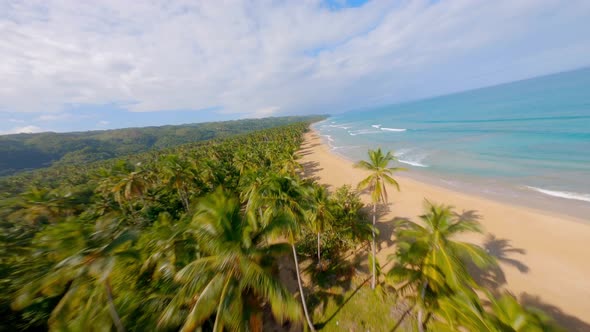 Aerial drone fpv flying over Playa Coson, Las Terrenas in Dominican Republic alt