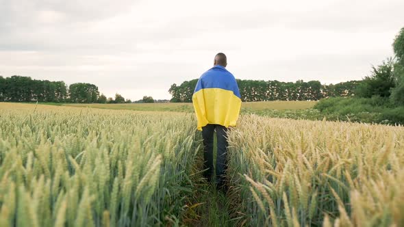 The Camera Follows Slow Motion a Man Walking Along a Wheat Field With the Ukrainian Flag