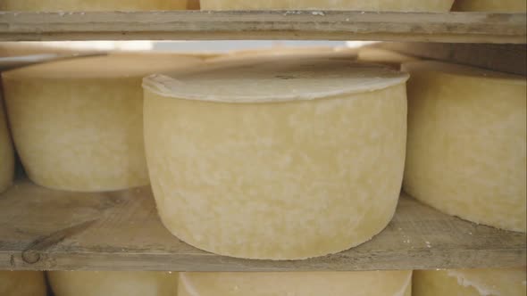 Cow Milk Cheese Stored in a Wooden Shelves and Left to Mature  Dolly Motion alt
