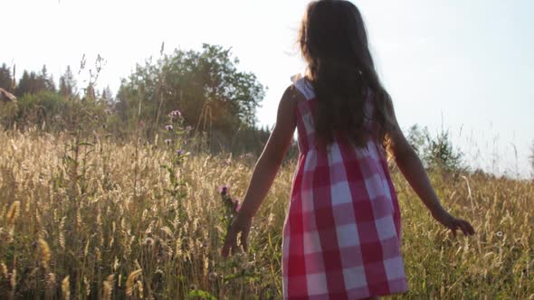 Little girl walking through summer field