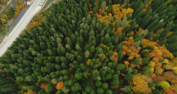 4K Aerial footage of mountain road in beautiful forest at sunset in autumn