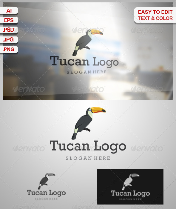 Tucan Logo - Animals Logo Templates