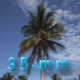 Tulum Mexico Beach Scene - VideoHive Item for Sale