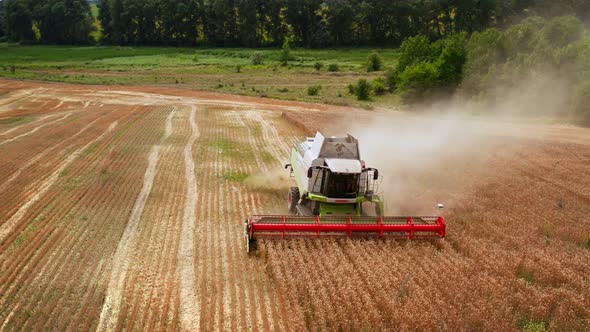 Harvesting Wheat Field at Sunset Wheat Field Harvets Combine Food Drone