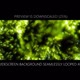 Widescreen Lime Green Particles - VideoHive Item for Sale
