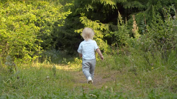 Little boy walking along the path in the forest