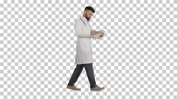 Male doctor walking and looking at cardiogram, Alpha Channel alt