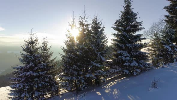 Aerial Drone Shot of Winter Early Morning in the Mountains alt