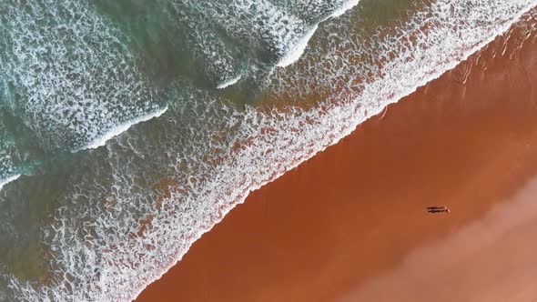 Aerial Top Down View of Sand Ocean Beach. Couple Walking Along Ocean Coast alt