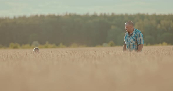 Dad and His Little Son are Walking Along an Unlimited Wheat Field the Boy Has One Head Visible