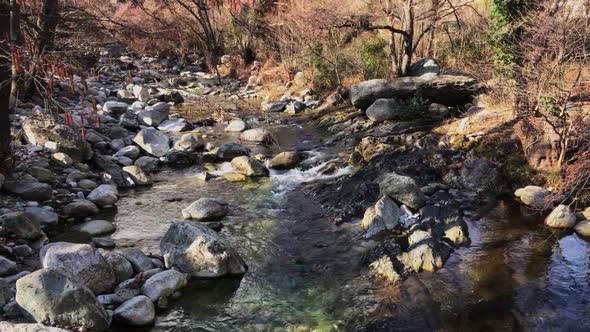 A Fast Mountain Stream Flows Between Stones in the Forest on a Sunny Day alt