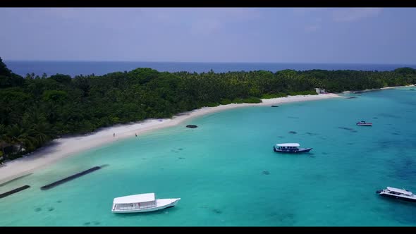Aerial drone panorama of paradise tourist beach wildlife by aqua blue lagoon and white sand backgrou alt