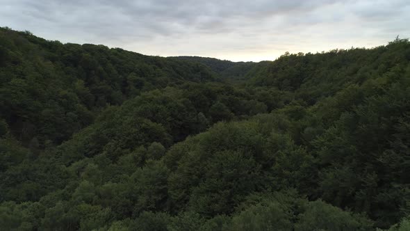 Aerial View of Forest Landscape at Dusk