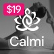 Calmi - Yoga Studios & Personal Instructors WordPress Theme