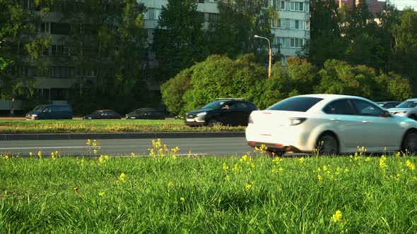 Fast Cars Motion alt